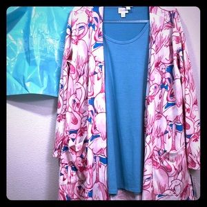 Lularoe Flamingo Caroline and Perfect T outfit